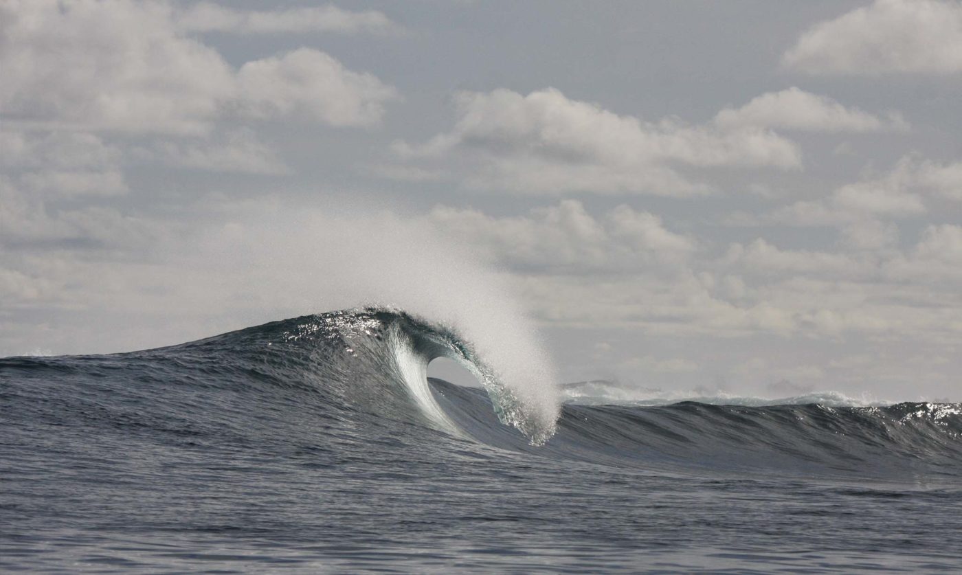 Mahi Mahi Waves 1