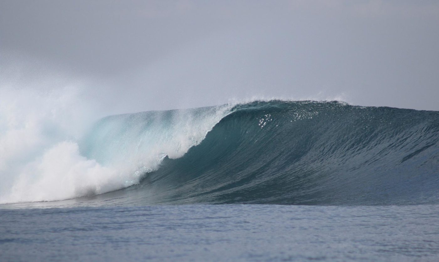Mahi Mahi Waves 24